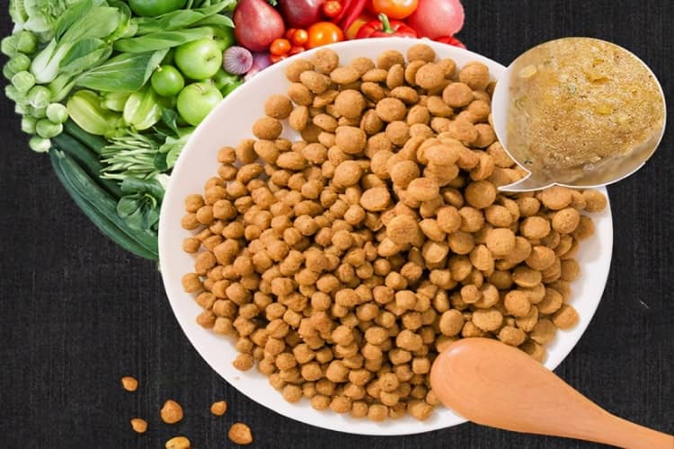 Dog Food Brands For Shih Tzu