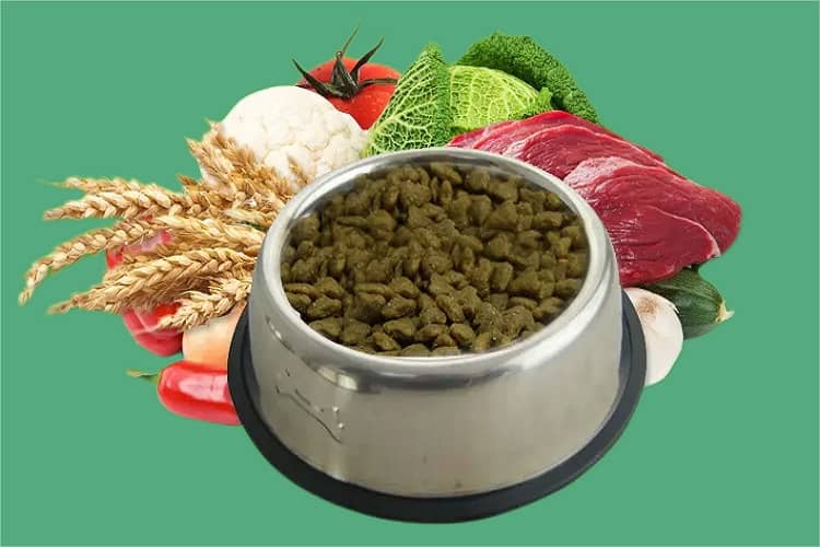 How to choose the right dog food for my Shih Tzu Dogs