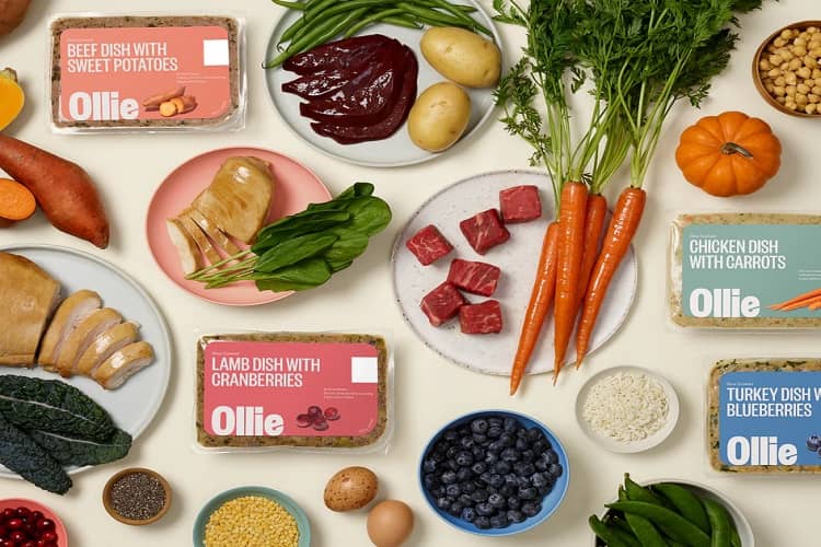 Why Choose Ollie Dog Food